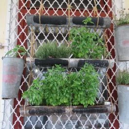 From Sea, Szentendre - Egyéb