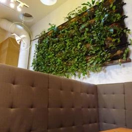 Fruccola - Kristóf tér Budapest - Belső