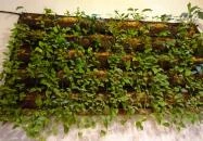 Fruccola - Kristóf tér Budapest