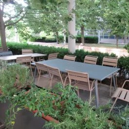 Fruccola - MOM Park, Budapest - Egyéb