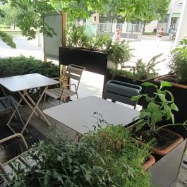 Fruccola - MOM Park, Budapest - Egyéb