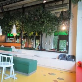 Fruccola - MOM Park, Budapest - Egyéb