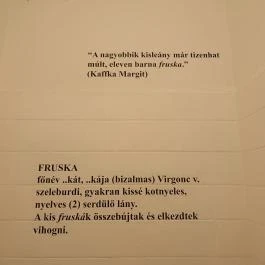 Fruska Picnic & Bistro Budapest - Belső