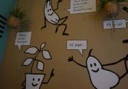 Fű Juice Bár Budapest