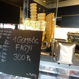 Füge Bolt & Kávézó Budapest - Belső