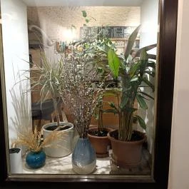 Füge Fagyiudvar & Kávézó, Veszprém - Egyéb