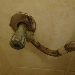 Fülemüle Étterem, Budapest - Egyéb