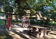 Fületlenke Deli Hidegség