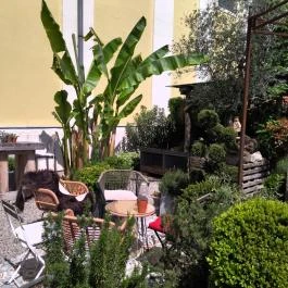 Fürge Páva Monor - Belső