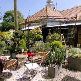 Fürge Páva Monor - Belső