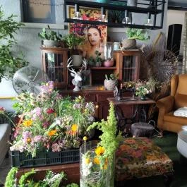 Fürge Páva Monor - Belső