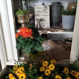 Fürge Páva Monor - Belső