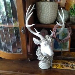 Fürge Páva Monor - Belső