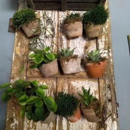 Fürge Páva Monor - Belső