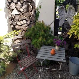 Fürge Páva Monor - Belső