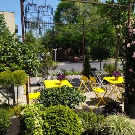 Fürge Páva Monor - Egyéb