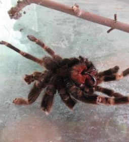 Füzesgyarmati Állatpark & Vadfarm