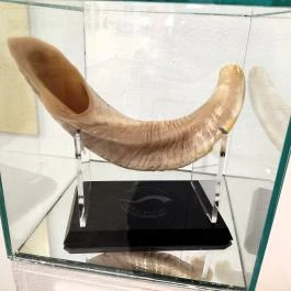 Gaál Imre Galéria Budapest - Egyéb