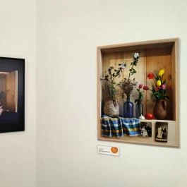 Gaál Imre Galéria Budapest - Egyéb