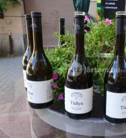 Galéria 12 Kávézó & Borbár