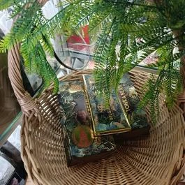 Galffis Chocolates - Budapest, Budapest - Étel/ital