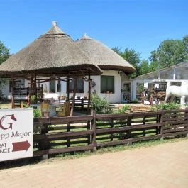 Galopp Major Gyál - Egyéb