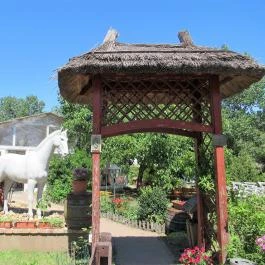 Galopp Major Gyál - Egyéb