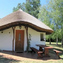 Galopp Major Gyál - Egyéb