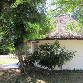 Galopp Major Gyál - Egyéb