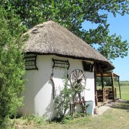 Galopp Major Gyál - Egyéb