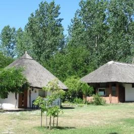 Galopp Major Gyál - Egyéb