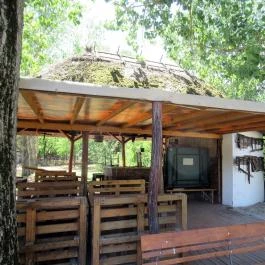 Galopp Major Gyál - Egyéb