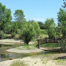 Galopp Major Gyál - Egyéb