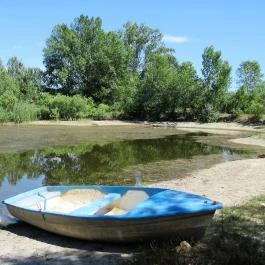 Galopp Major Gyál - Egyéb