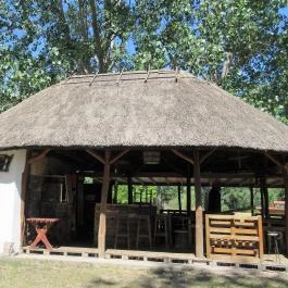 Galopp Major Gyál - Egyéb