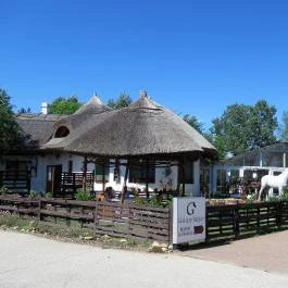 Galopp Major Gyál - Egyéb