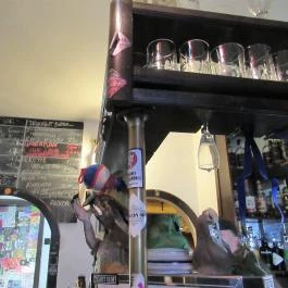 Ganz Söröző, Budapest - Egyéb