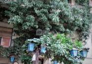 Ganz Söröző Budapest