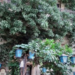 Ganz Söröző, Budapest - Egyéb