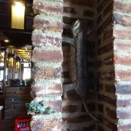 Gekko Pub, Szombathely - Belső