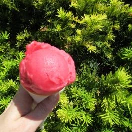 Gelateria Pichler Budapest - Egyéb