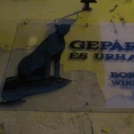 Gepárd & Űrhajó Borbár Budapest - Egyéb