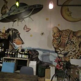 Gepárd & Űrhajó Borbár Budapest - Egyéb