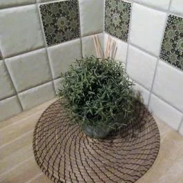 Gepárd & Űrhajó Borbár Budapest - Egyéb