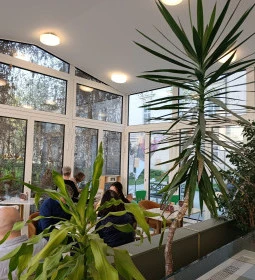 Geraldine – Auguszt Múzeumkert