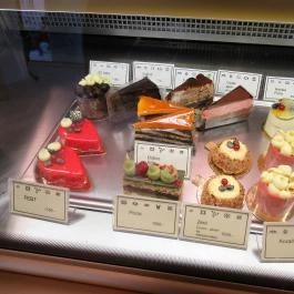 Geraldine – Auguszt Múzeumkert Budapest - Egyéb