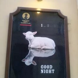 Gerlóczy Cafe, Budapest - Egyéb