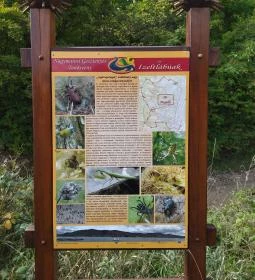 Gesztenyés tanösvény