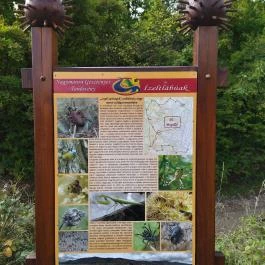 Gesztenyés tanösvény Nagymaros - Egyéb