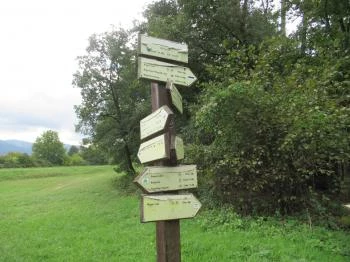 Gesztenyés tanösvény Nagymaros